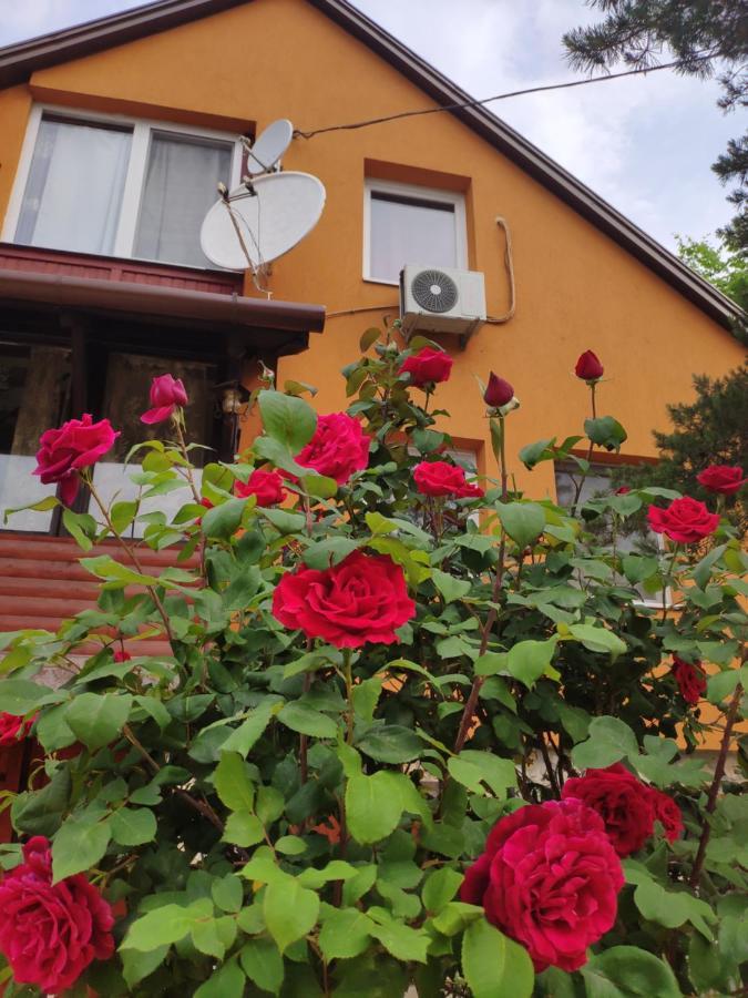 Karolina Apartment Bekescsaba Exterior photo